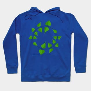 thin birch twigs Hoodie